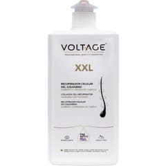 Traitement intensif au collagène Voltage 1000ml