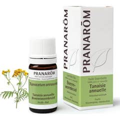 Pranarôm Huile Essentielle Tanaisie Annuelle 5ml