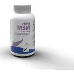 Fepadiet Fepa-Msm + C 90caps