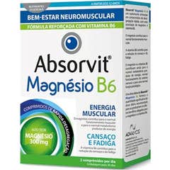 Absorvit Magnésio + B6 60 Comprimés