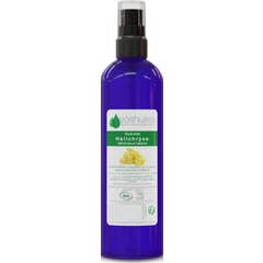 Voshuiles Hydrolat d'Hélichryse Cosmos 100 ml