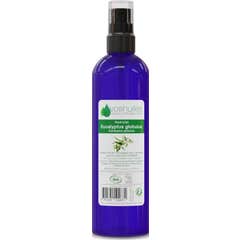 Voshuiles Hydrolat d'Eucalyptus Globulus Cosmos 200 ml