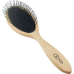 1845 Brosse Cheveux Grand 1ut