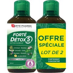 Forté Pharma Forté Détox 5 Organes 2x500ml