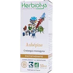 Herbiolys Fitoterapia Espino Blanco Bio 50ml