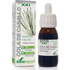 Extracto Cola Caballo Xxi Soria Natural *