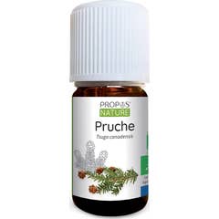 Propos'Nature Huile Essentielle de Pruche Bio 5 ml