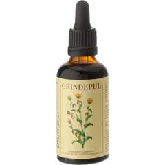 Science & Health Sbd Grindepul 50ml