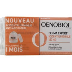 Oenobiol Derma Expert Acide Hyaluronique 2x30 Gélules