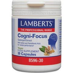 Lamberts Cogni-Focus 8596-30 30 cáps