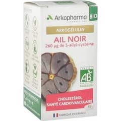 Arkopharma Arkogélules Ail Noir Bio 40 Gélules