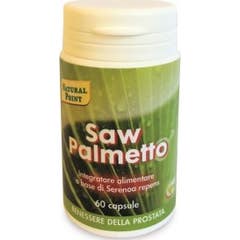 Palmier nain 60Cps