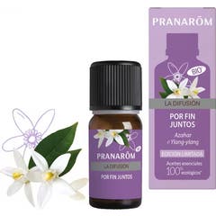 Pranarôm Diffusion At Last Together Bio 10ml