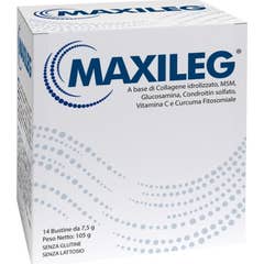 Terbiol Farmaceutici Maxileg 14 Sachets