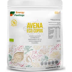 Energy Feelings Flocons d'Avoine Eco Vegan Sans Gluten 1kg