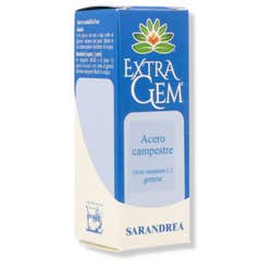 Sarandrea Extragem Érable des Champs Gemmes 20ml