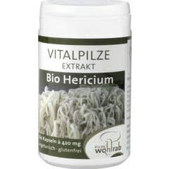 Pilze Wolhrab Lion's Mane Hericium Bio 60caps