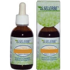 Selerbe Bouleau Teinture Mère 50ml