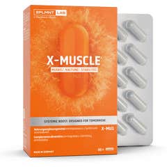 SPLMNT X-Muscle 60 Capsules