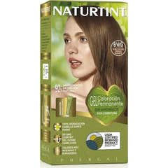 Naturtint Coloration sans ammoniaque 6WG Blond foncé doré 170 ml