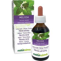 Sangalli Teinture Mère Mélisse 100ml