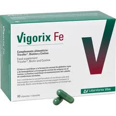 Vigorix Fe 90caps