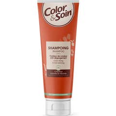 Color & Soin Shampooing Cheveux Colorés et Mèches 200 ml