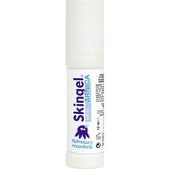 Skingel Árnica 12ml