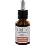 Vitaflor Extrait de Bourgeons Bio Marronnier d?Inde 15 mL
