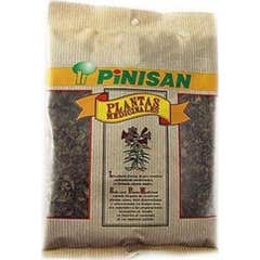 Pinisan Fleur d'Arnica 30g