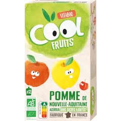 Vitabio Cool Fruits Pomme 12x90g