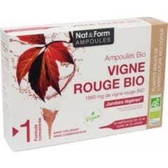 Nat&Form Ampoulesoules Vigne Rge Bio 20x10ml