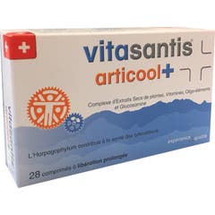 Vitasantis Articool+ Cpr Lp 28