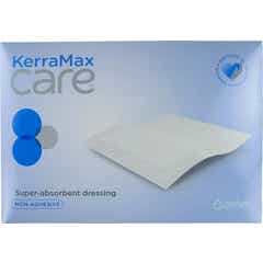 Kerramax Care 10X22Cm 10