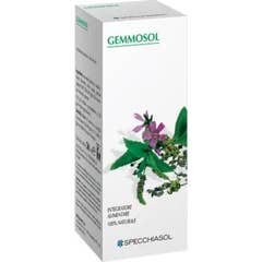 Specchiasol Gemmosol 16 Châtaignier 50ml