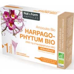 Nat&Form Ampoules Harpagophyt Bio 20x10ml