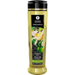 Shunga Organica Massage Oil Green Tee 240ml