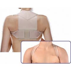 Cliaortho Raddrizzaspalle L