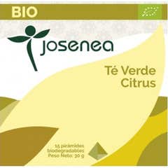 Josenea boîte de thé vert aux agrumes bio 15 pyramides