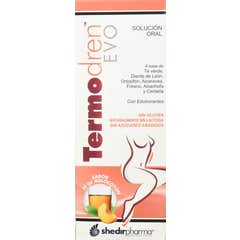 Shedir Termodren Evo Thé Pêche 500ml