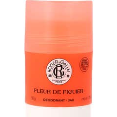 Roger & Gallet Fleur de Figuier Déodorant 24H Solide 50 g