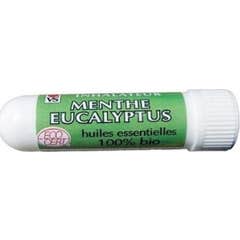 Vecteur Santé Inhalateur Menthe Eucalyptus 1 Unité