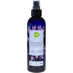 Pharmascience Eau Florale De Lavande Fine Bio 200ml