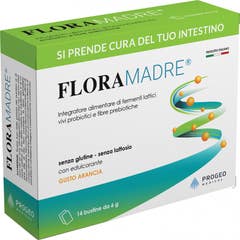 Floramadre Sachets Arôme Orange 14x6g