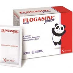 Nalkein Flogasine Junior 20 Sachets