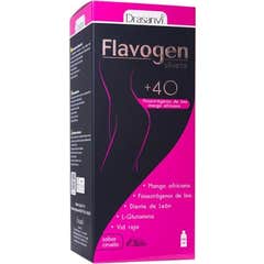 Flavogen Silhouette 500ml