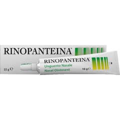 Rhinopanthine Ung 10 Gr
