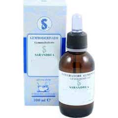 Sarandrea Currant Nigrum Macerated Glyceric 100Ml