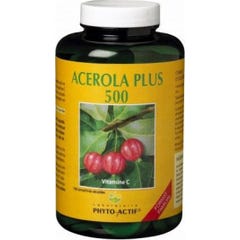Phytoactif Acerola Plus 500 100 comprimés