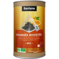 Santane Infusion Journée Boostée Bio 16 Sachet